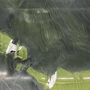 QRTZ – 009 – Avocado Green