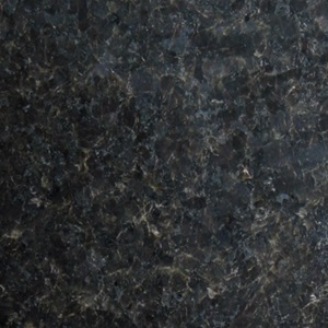 GRNT – 015 – Black Labrador