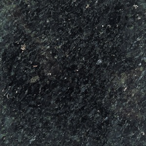 GRNT – 047 – Labrador Black