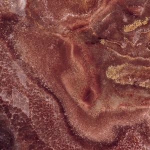 ONX – 012 – Omice tanzania Scuro